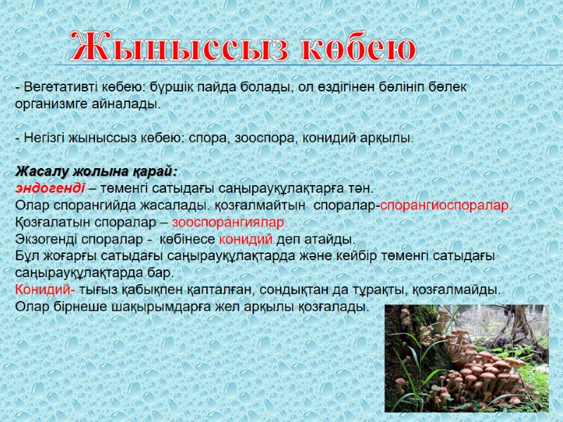 Жыныссыз көбею - Вегетативті көбею: бүршік пайда болады, ол өздігінен бөлініп бөлек  организмге